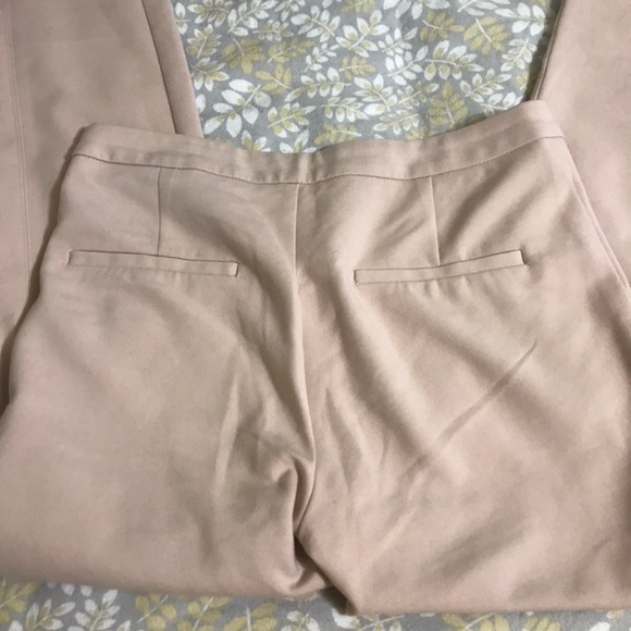 Zara Blush Skinny Leg Dress Pants - Picture 4 of 6
